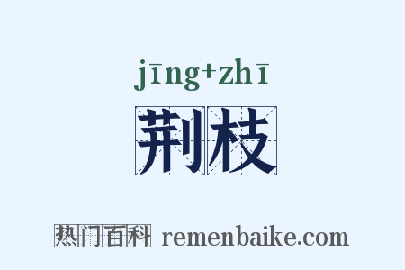 荆枝是什么意思的图片